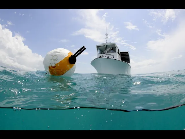 BSC Fisheries Youtube Video Crab Catching