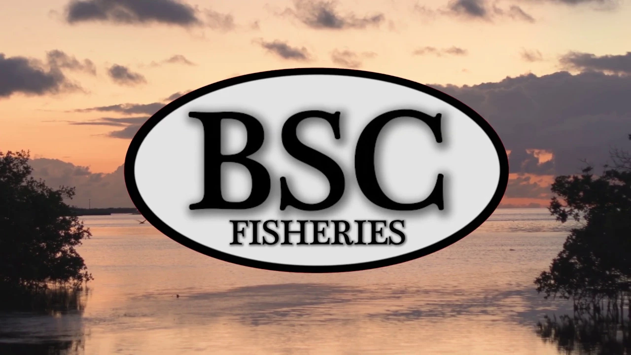BSC Fisheries Youtube Video Crabs Fishing